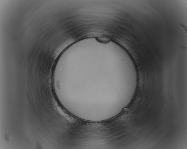 X0000100481042200807031847