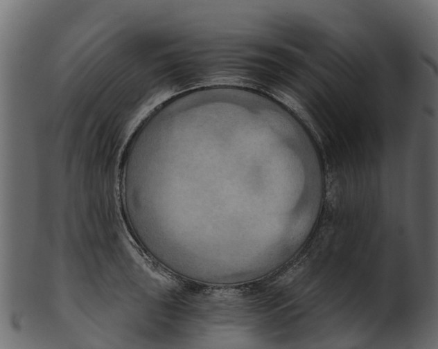 X0000100481043200807031847