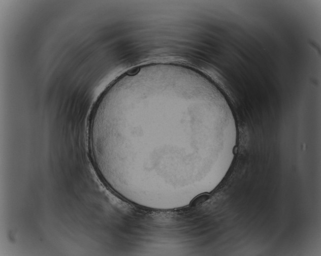 X0000100481046200807031847