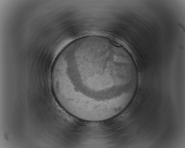 X0000100481048200807031847