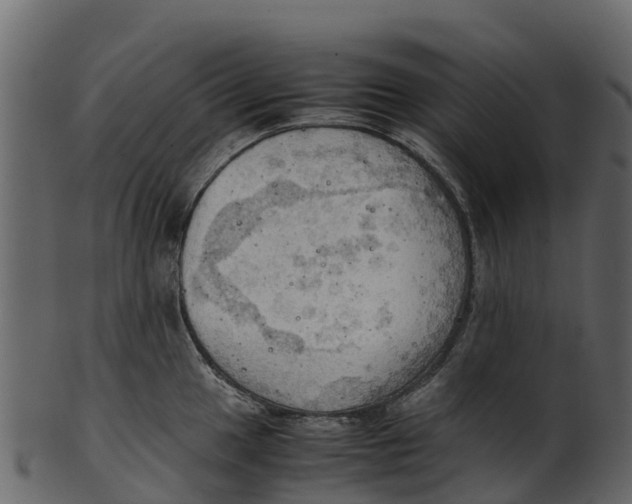 X0000100481049200807031847