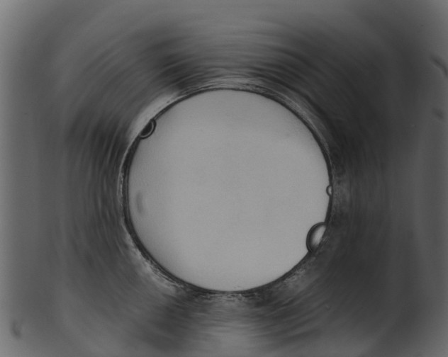 X0000100481050200807031847