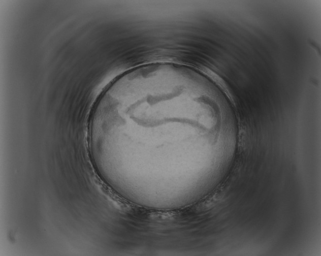 X0000100481051200807031847