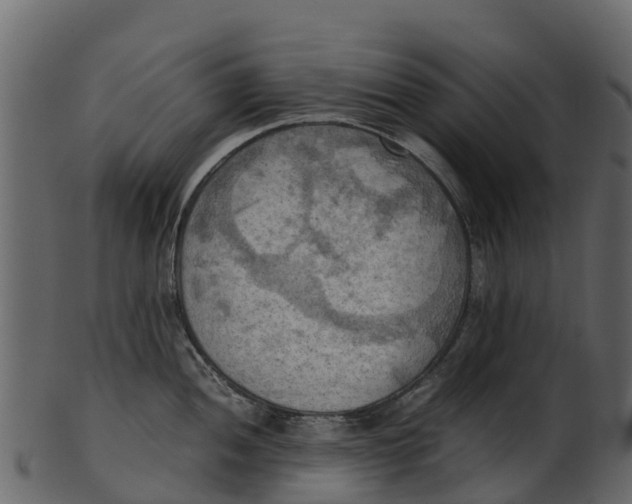 X0000100481052200807031847