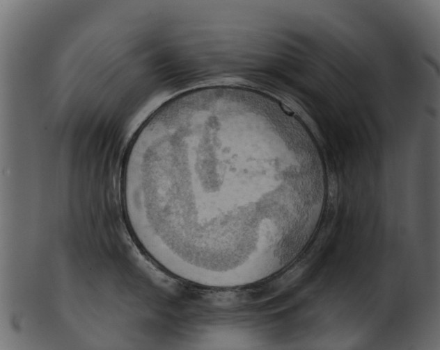 X0000100481054200807031847