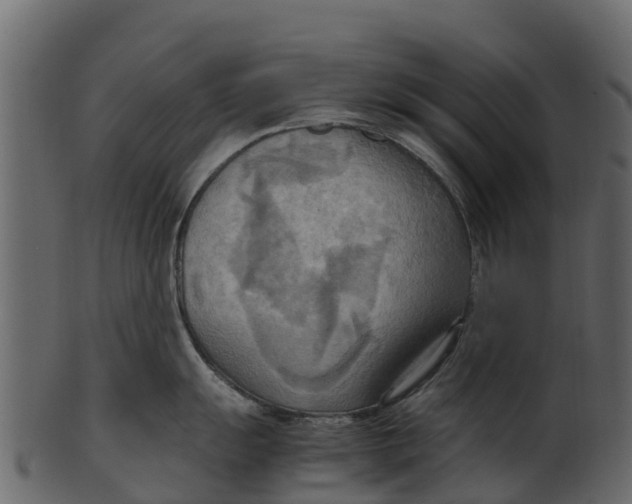 X0000100481055200807031847