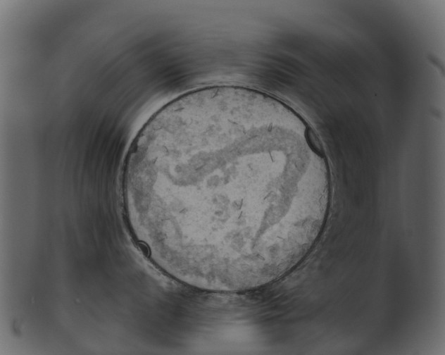 X0000100481056200807031847