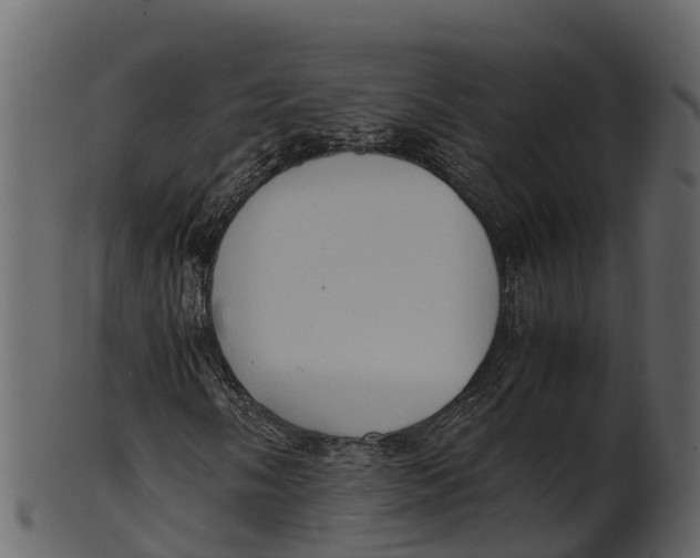 X0000100481058200807031846