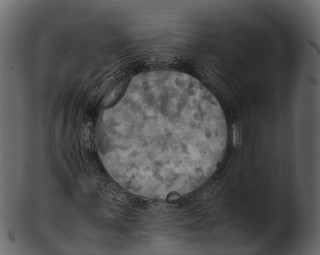 X0000100481059200807031846