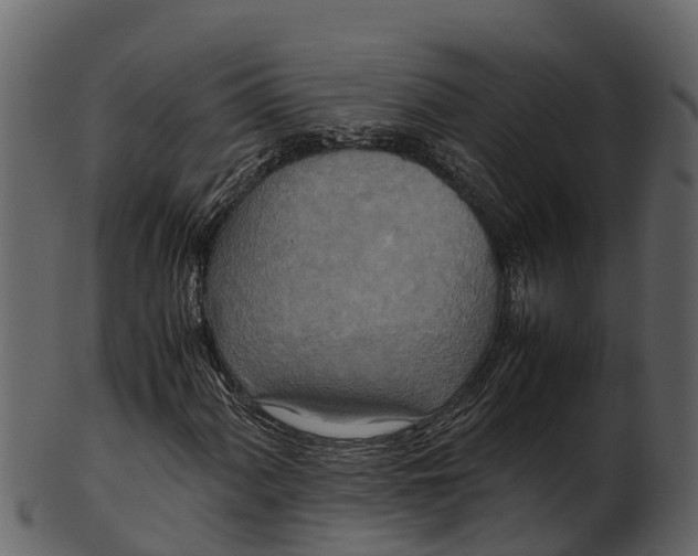 X0000100481060200807031846