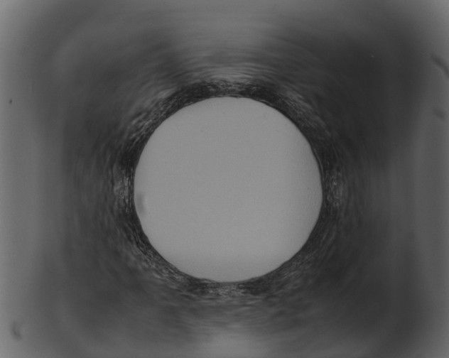 X0000100481061200807031846