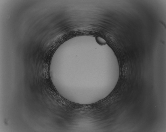 X0000100481062200807031846