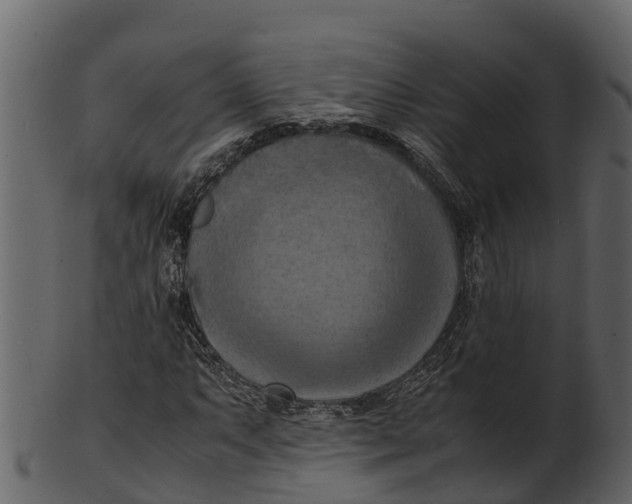 X0000100481063200807031846