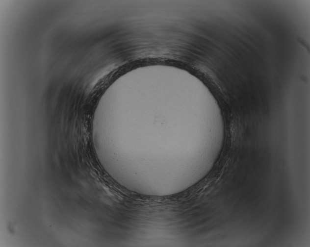 X0000100481064200807031846