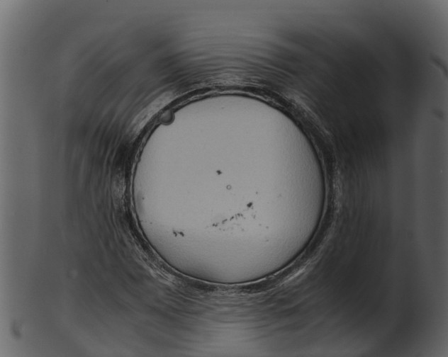 X0000100481065200807031846