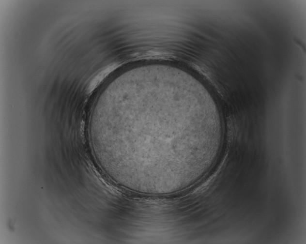 X0000100481066200807031846