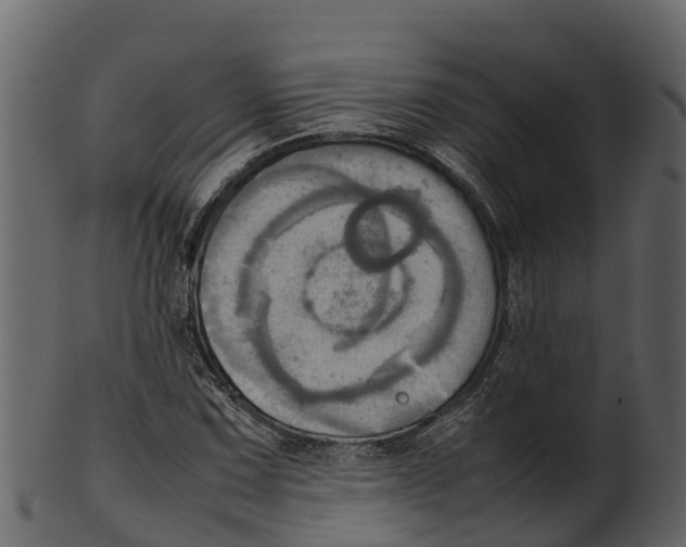 X0000100481067200807031846