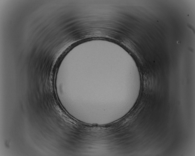 X0000100481068200807031846