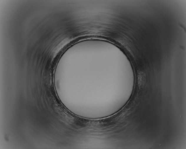 X0000100481069200807031846