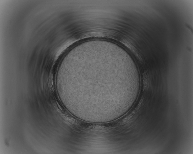 X0000100481070200807031846