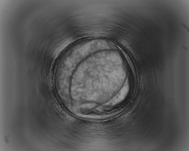 X0000100481071200807031846