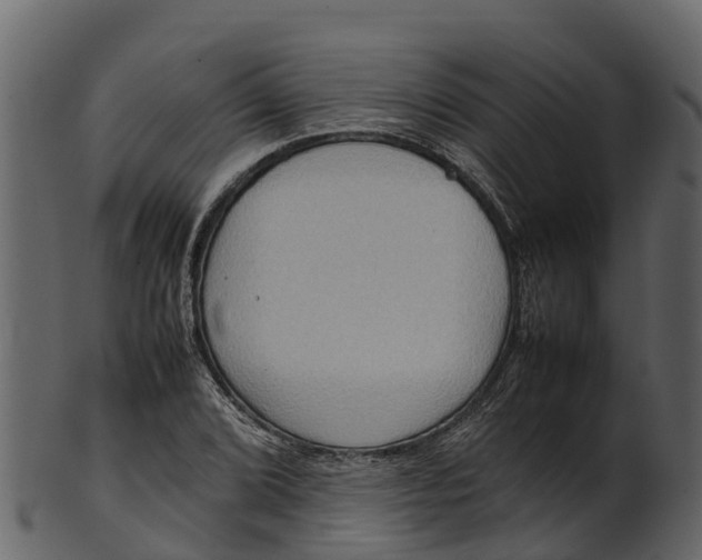 X0000100481072200807031846