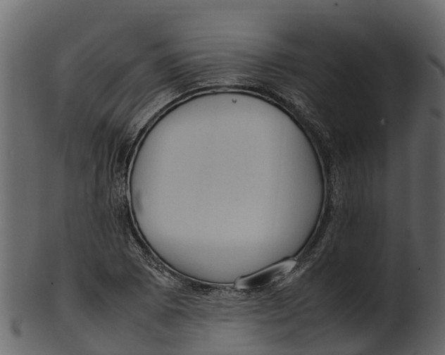 X0000100481073200807031846