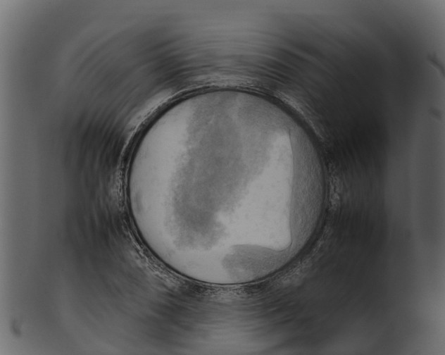 X0000100481074200807031846