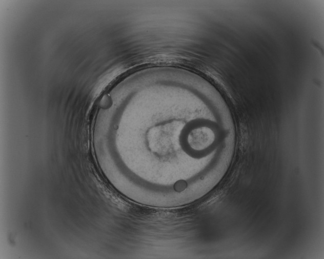 X0000100481075200807031846