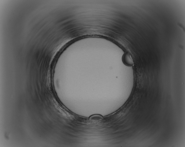 X0000100481076200807031846