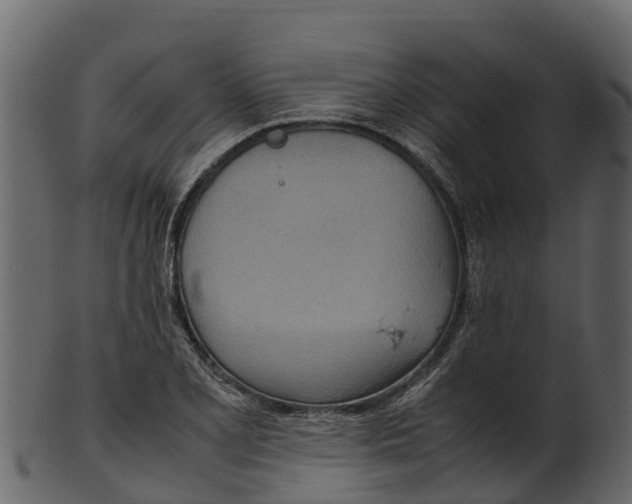 X0000100481077200807031846