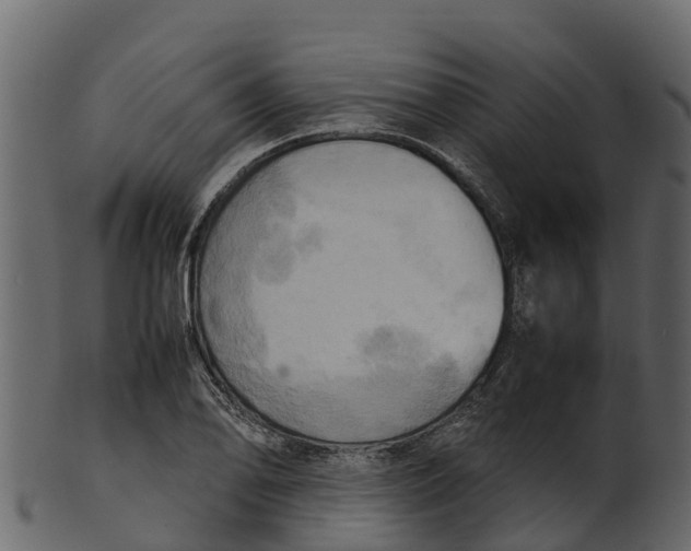 X0000100481078200807031846