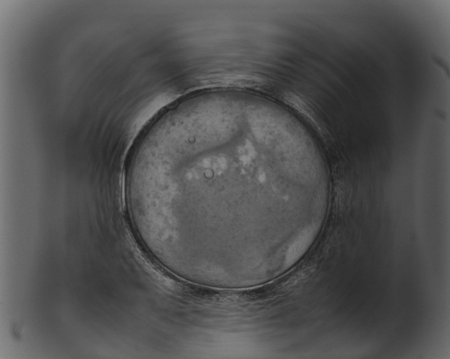 X0000100481079200807031846