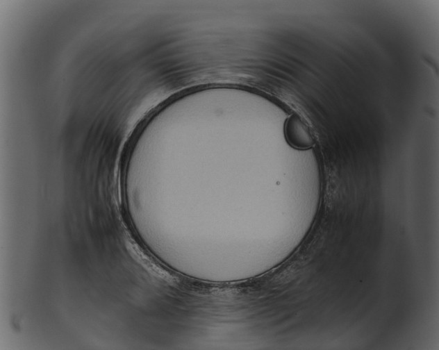 X0000100481080200807031846