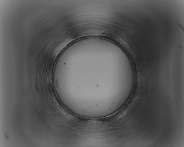 X0000100481081200807031846