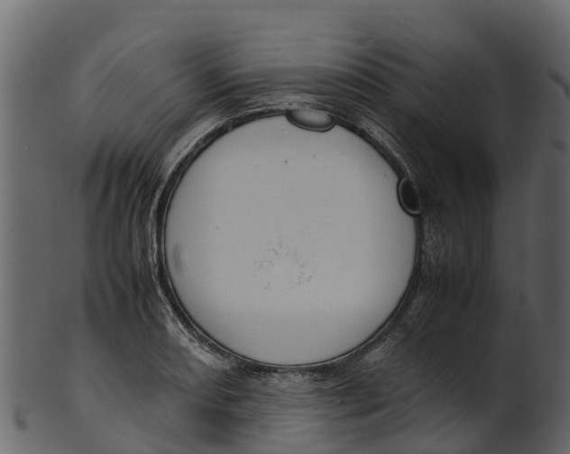 X0000100481082200807031846