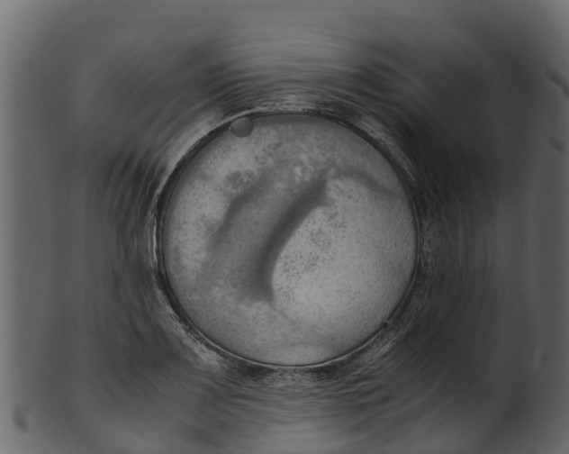 X0000100481083200807031846