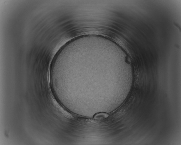 X0000100481084200807031846