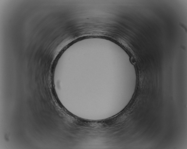 X0000100481085200807031846