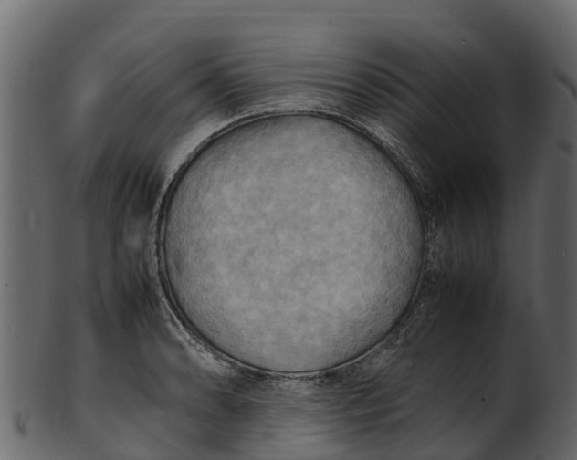 X0000100481086200807031846