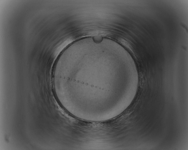 X0000100481087200807031846