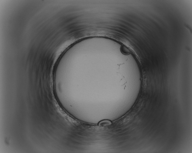 X0000100481088200807031846