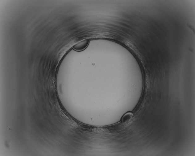 X0000100481089200807031846