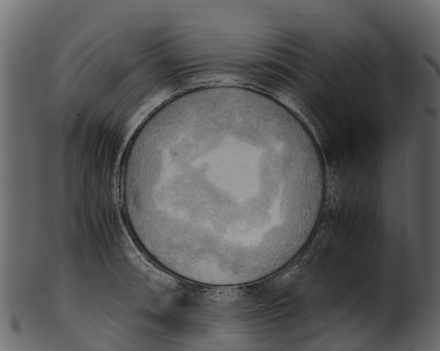 X0000100481090200807031846