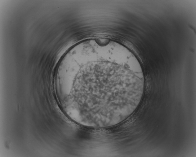 X0000100481091200807031846