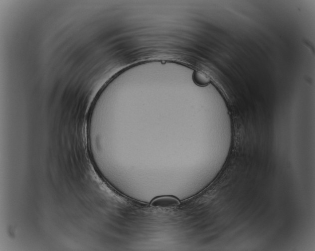 X0000100481092200807031846