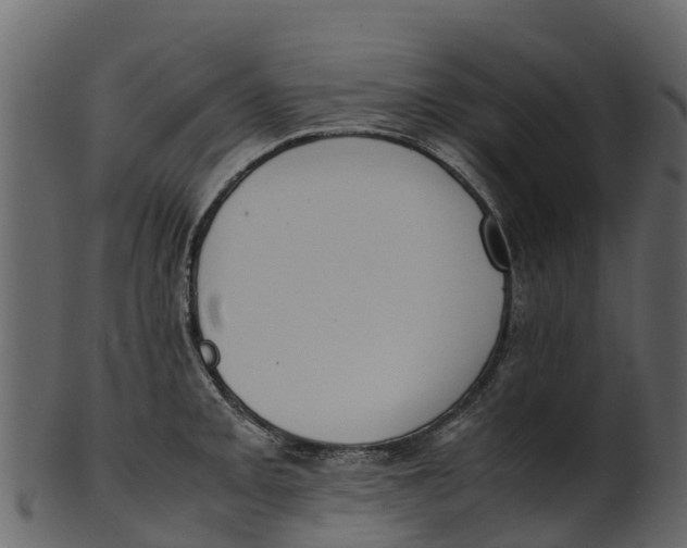 X0000100481093200807031846