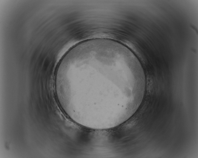 X0000100481094200807031846