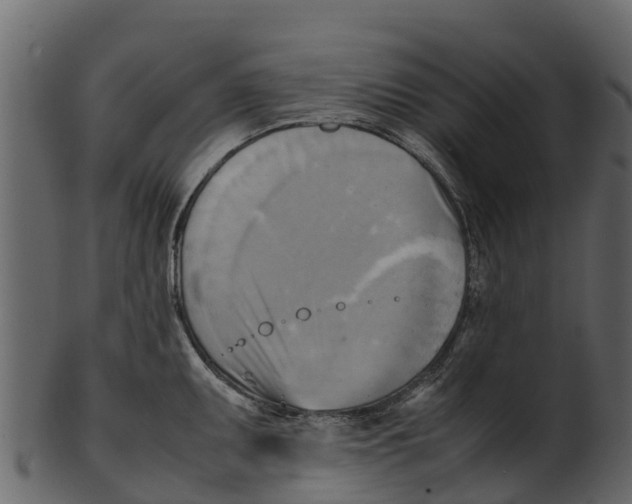 X0000100481095200807031846