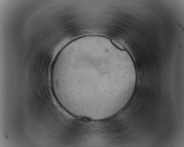 X0000100481096200807031846